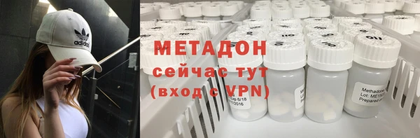 индика Каменка