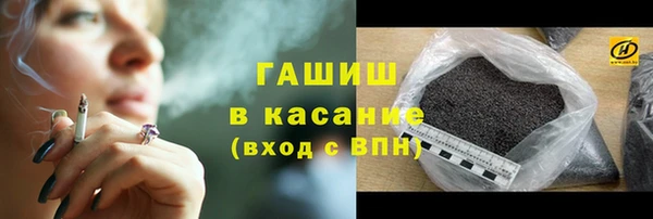 мет Алексин