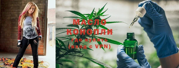 мет Алексин