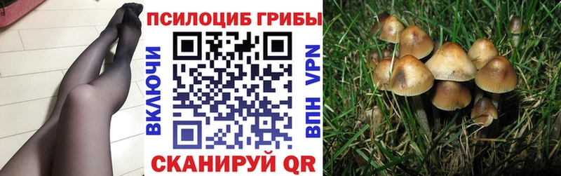 наркота  Пущино  Галлюциногенные грибы Magic Shrooms 